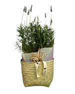 Cargar imagen en el visor de la galería, Lavanda Relax
