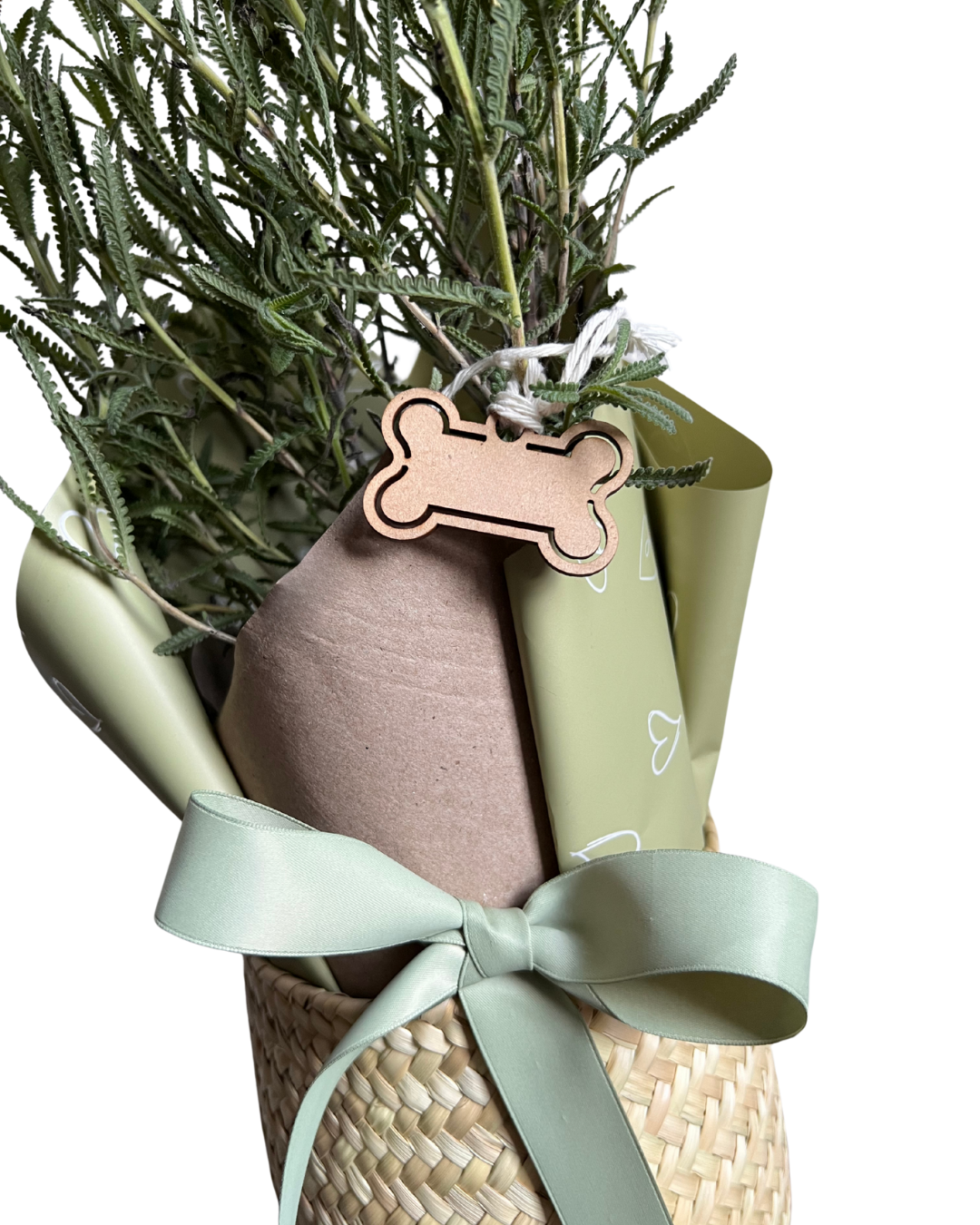 Lavanda Dulce Compañía