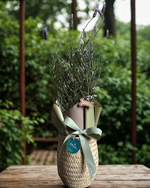 Cargar imagen en el visor de la galería, Lavanda Dulce Compañía
