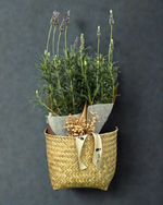 Cargar imagen en el visor de la galería, Lavanda Relax
