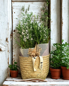 Lavanda Relax