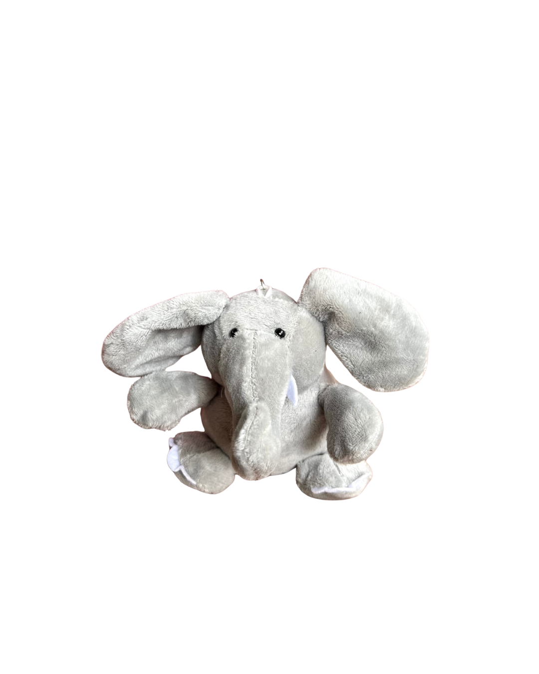 Baby Elefante