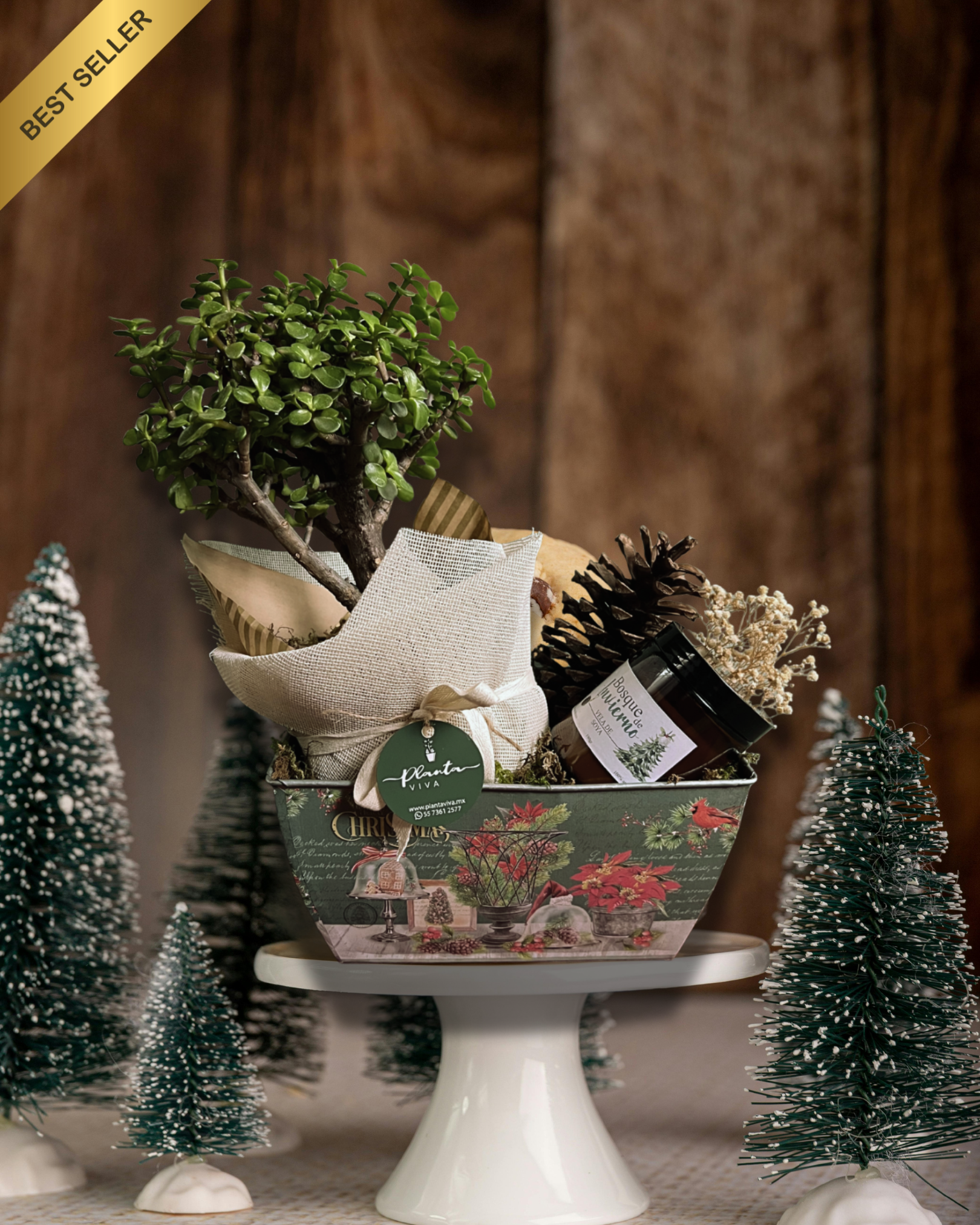 Fantasía de Invierno