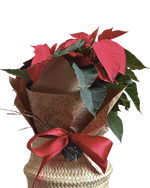 Cargar imagen en el visor de la galería, Nochebuena Alma
