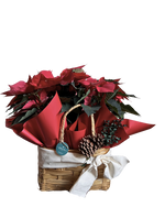 Cargar imagen en el visor de la galería, Nochebuena va al mercado
