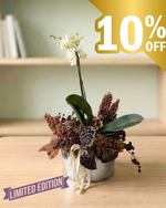 Cargar imagen en el visor de la galería, Orquídea Banksia
