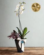 Cargar imagen en el visor de la galería, Orquídea Panal
