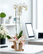 Cargar imagen en el visor de la galería, Orquídea Costalito
