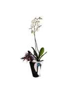 Cargar imagen en el visor de la galería, Orquídea Panal

