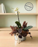 Cargar imagen en el visor de la galería, Orquídea Banksia
