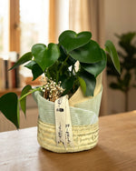 Cargar imagen en el visor de la galería, Peperomia Raindrop
