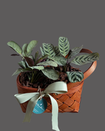 Cargar imagen en el visor de la galería, Verde Picnic
