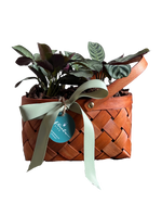 Cargar imagen en el visor de la galería, Verde Picnic
