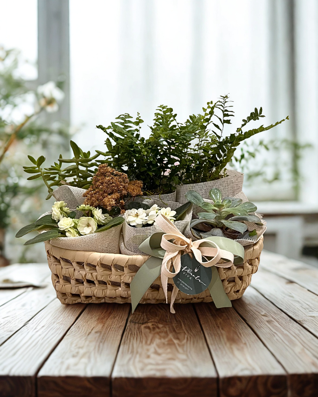Plant Lover