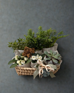 Cargar imagen en el visor de la galería, Plant Lover
