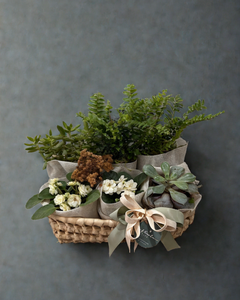 Plant Lover