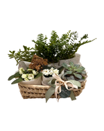 Cargar imagen en el visor de la galería, Plant Lover
