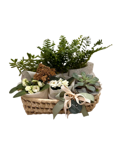 Plant Lover