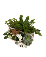 Cargar imagen en el visor de la galería, Plant Lover

