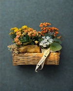 Cargar imagen en el visor de la galería, Sinfonía de Flores

