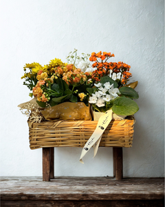 Sinfonía de Flores