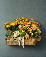 Cargar imagen en el visor de la galería, Sinfonía de Flores
