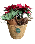 Cargar imagen en el visor de la galería, Tradición Navideña
