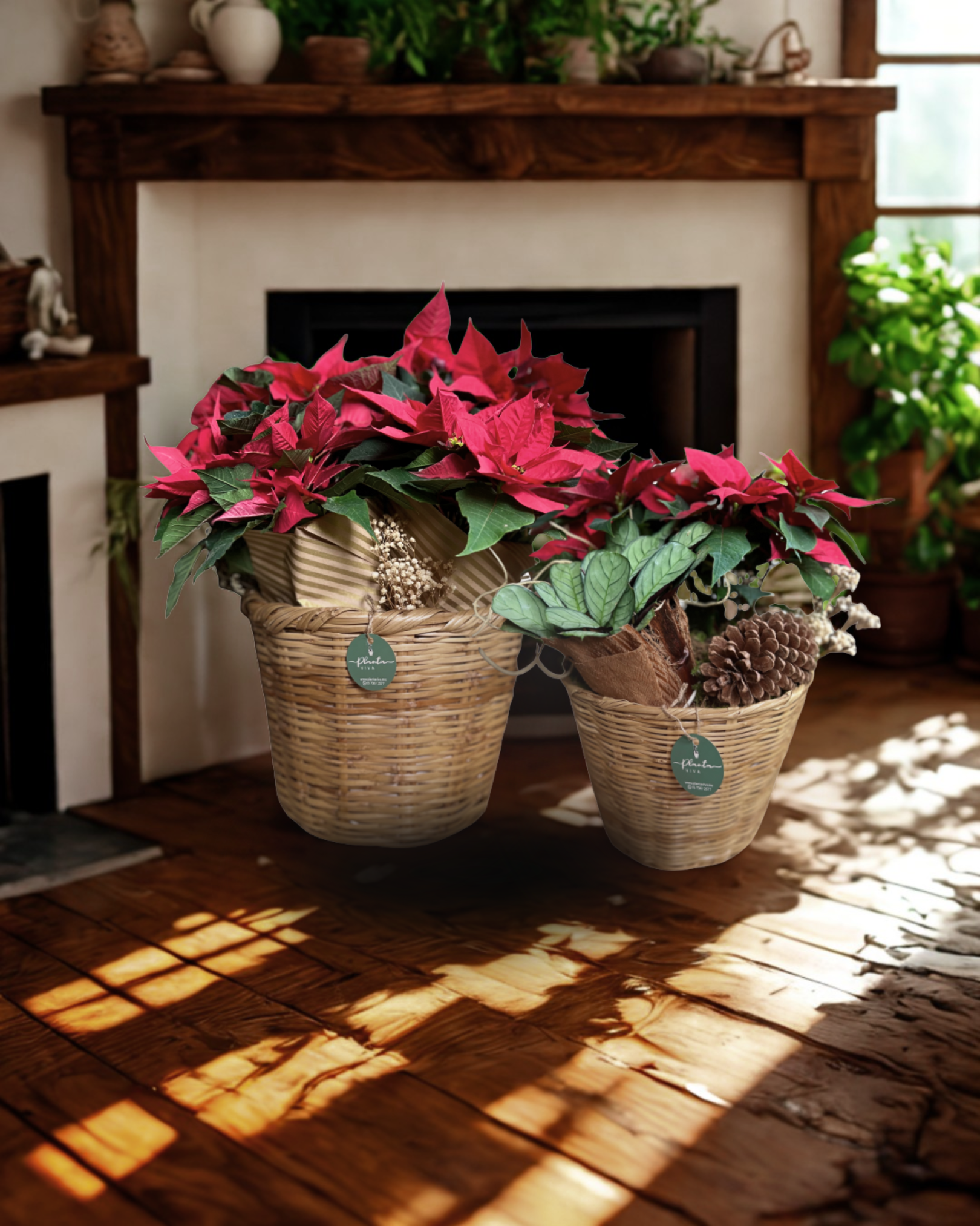 Tradición Navideña