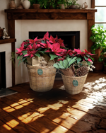 Cargar imagen en el visor de la galería, Tradición Navideña
