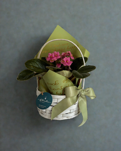 Violeta Bloom