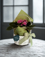 Cargar imagen en el visor de la galería, Violeta Bloom
