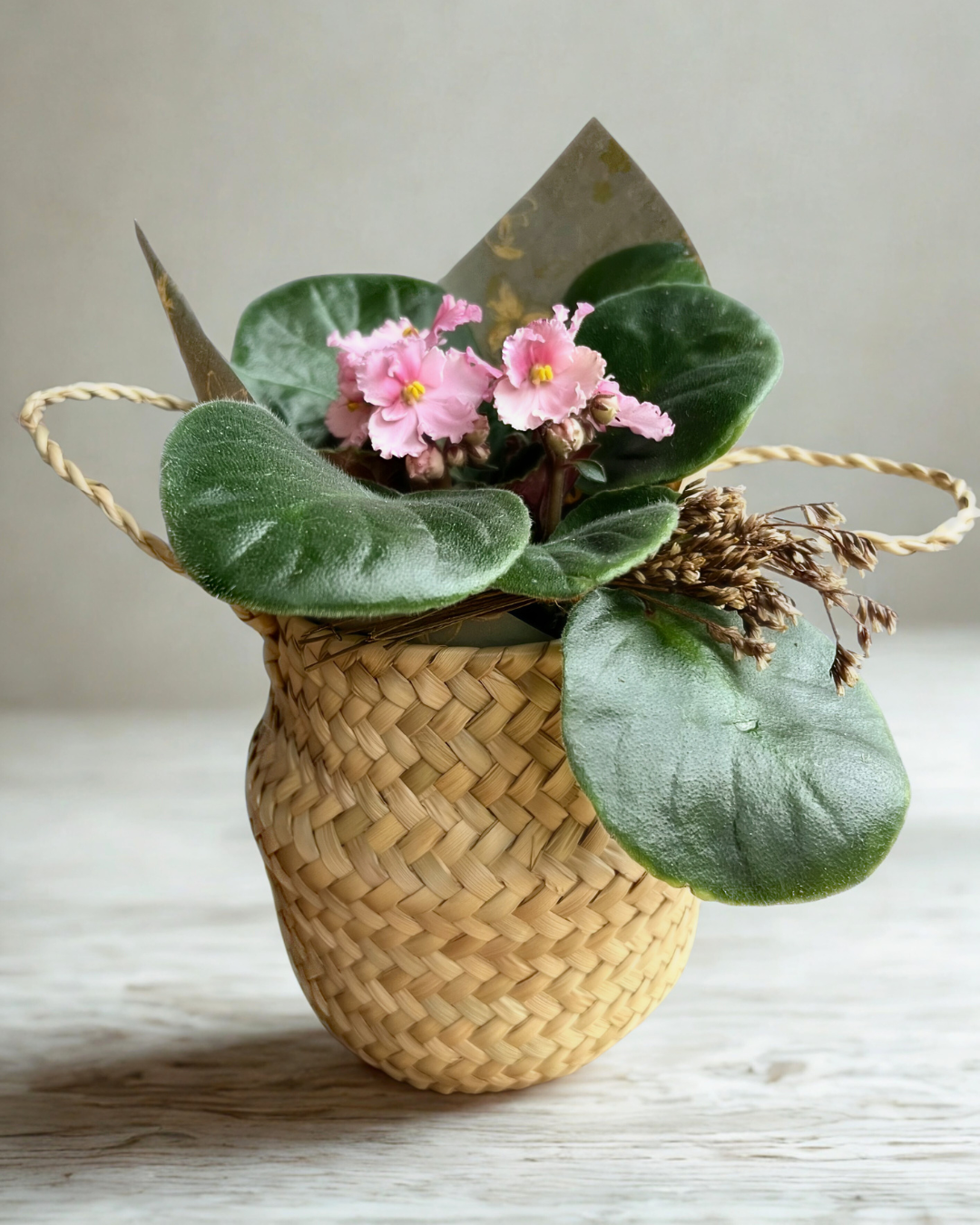 Cesta Palmita
