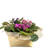 Cargar imagen en el visor de la galería, Violetas Tortillero
