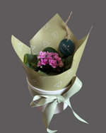 Cargar imagen en el visor de la galería, Menta
