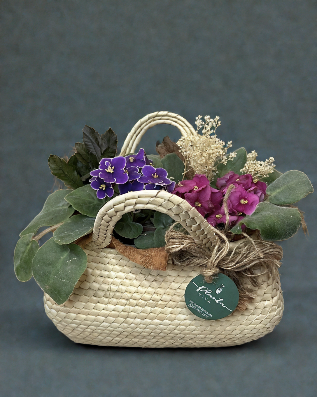 Cesta  bomba con Violetas Africanas