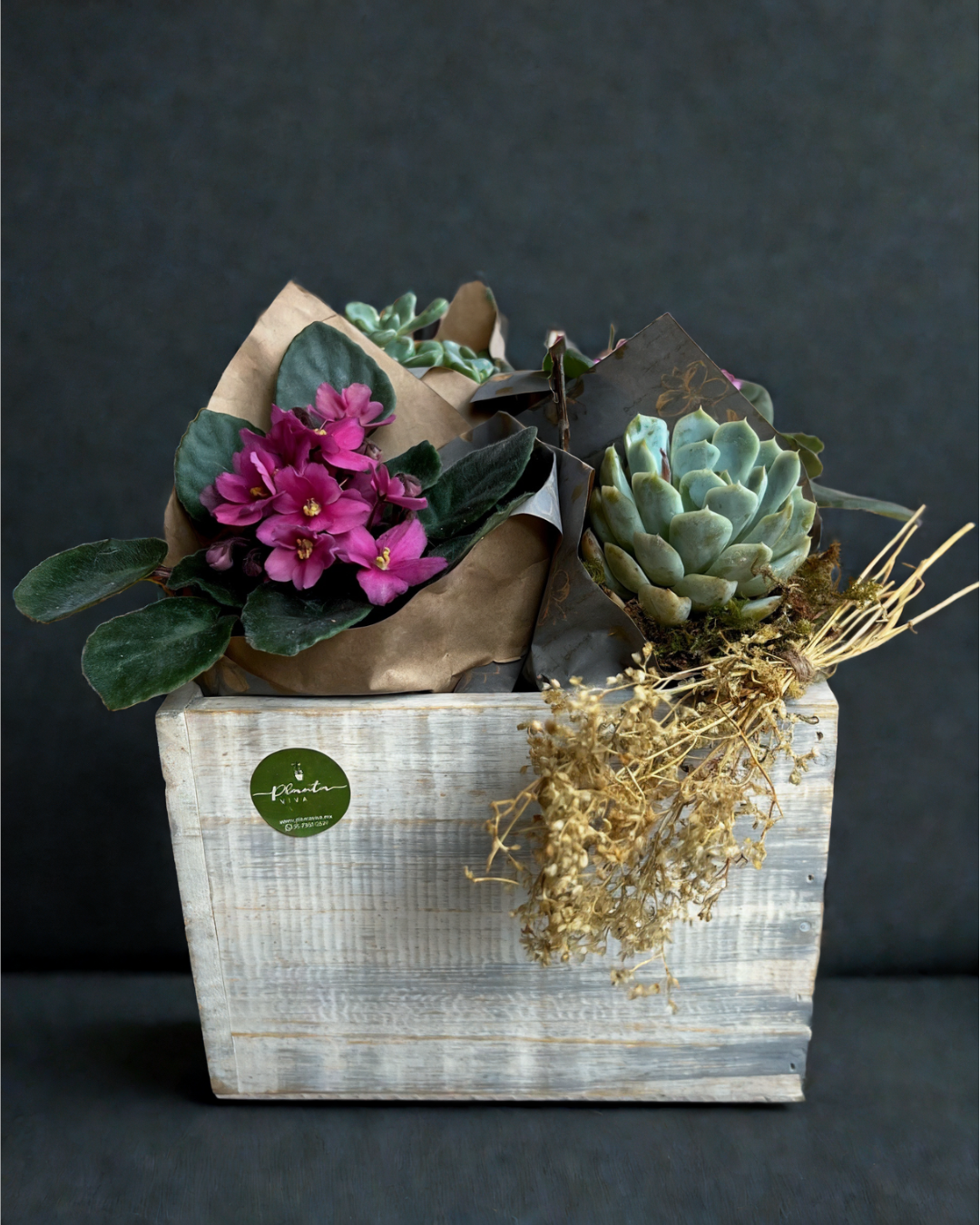 Vintage Violetas