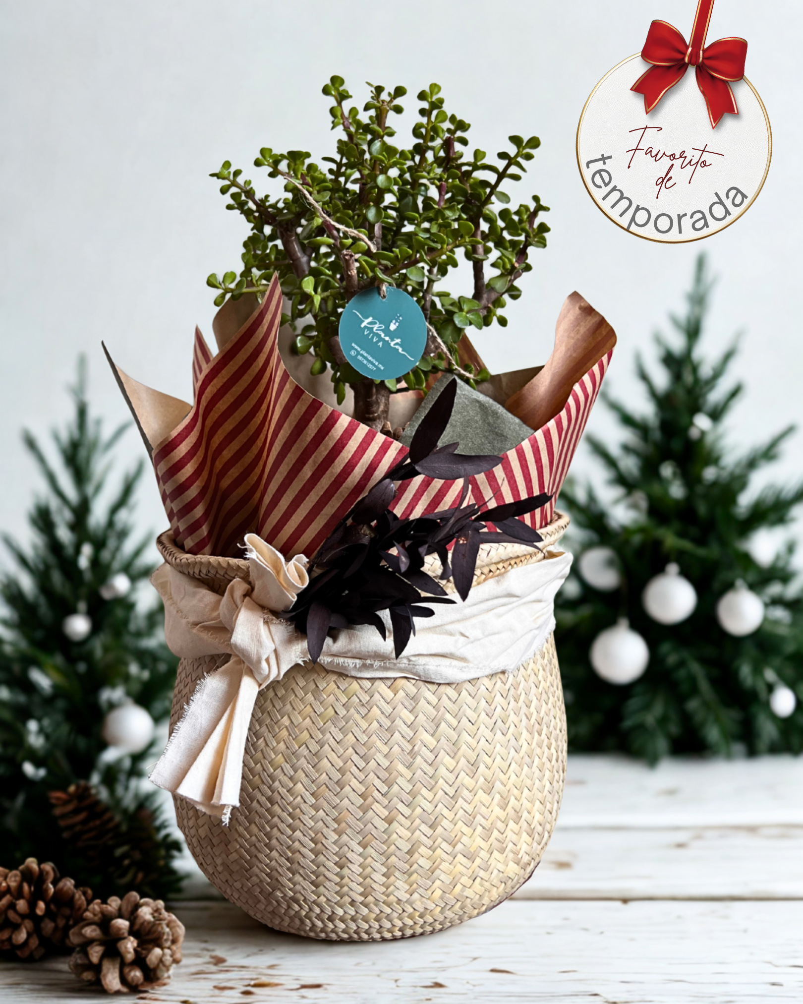 Abundancia de temporada