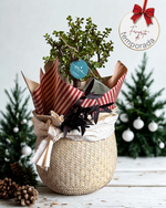 Cargar imagen en el visor de la galería, Abundancia de temporada
