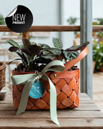 Cargar imagen en el visor de la galería, Verde Picnic
