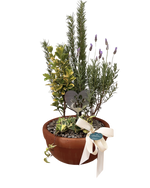 Cargar imagen en el visor de la galería, Huella Serena
