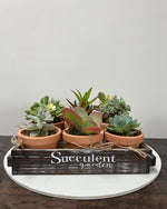 Cargar imagen en el visor de la galería, Succulent Garden
